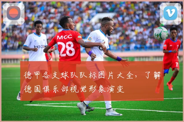 德甲各支球队队标图片大全，了解德国俱乐部视觉形象演变