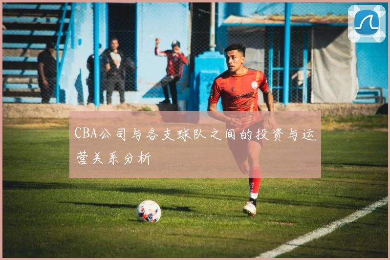 CBA公司与各支球队之间的投资与运营关系分析