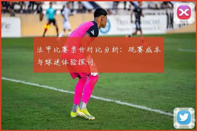 法甲比赛票价对比分析：观赛成本与球迷体验探讨