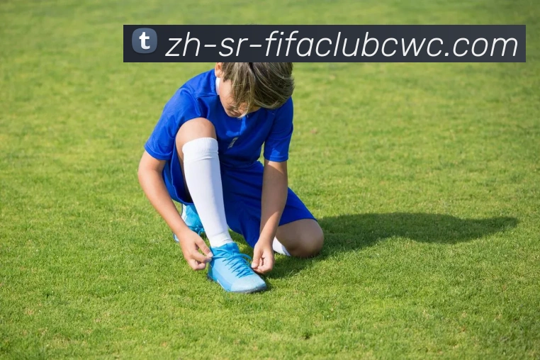 世界杯平台平台生态图