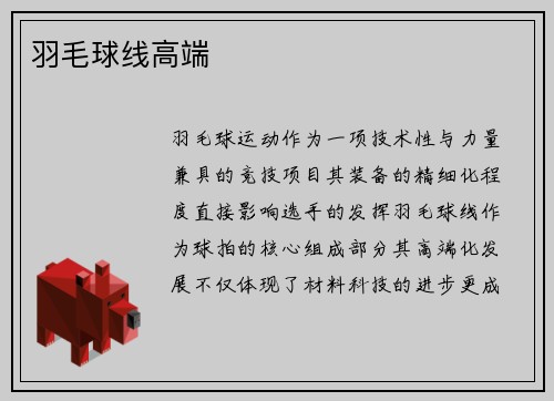 羽毛球线高端