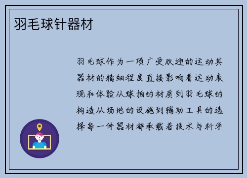 羽毛球针器材